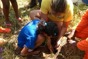 Alunos da Escola Municipal “Eufrosina Pinto” participam de Projeto de Arborização do Córrego do Onça
