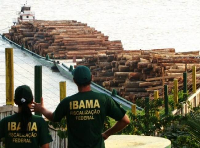 Ibama abre concurso com 680 vagas e salário inicial de R$ 7.675,45