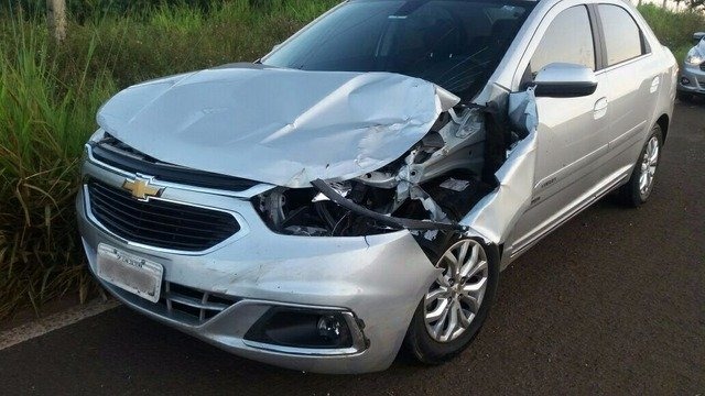 Cavalo na pista causa grave acidente em rodovia de Três Lagoas Cavalo na pista causa grave acidente em rodovia de Três Lagoas