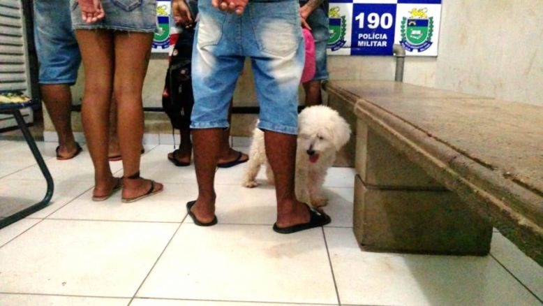 Jovens são surpreendidos com maconha e até poodle vai parar na delegacia Jovens são surpreendidos com maconha e até poodle vai parar na delegacia