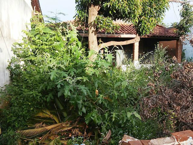 Moradores do Colinos denunciam sujeira em casa abandonada 