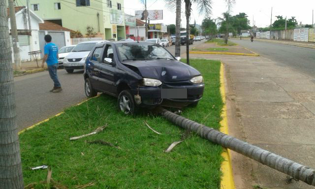 Motorista perde o controle e colide contra palmeira no centro de Três Lagoas Motorista perde o controle e colide contra palmeira no centro de Três Lagoas