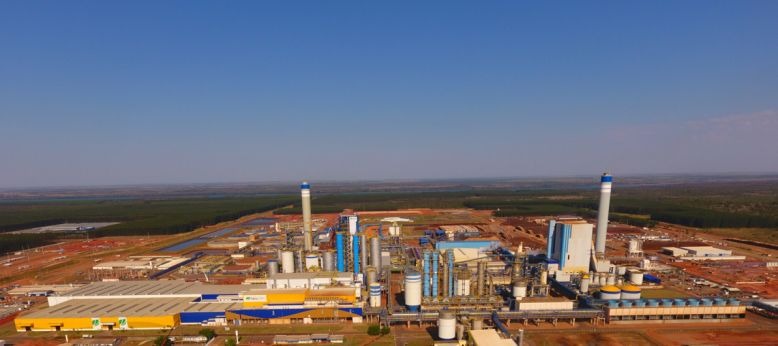 Fibria monitora microbacias para avaliar os recursos hídricos nas áreas de florestas plantadas