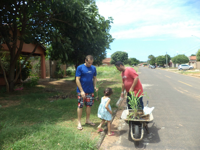 TRÊS LAGOAS SEM DENGUE! Xykão realiza a doação de mudas de citronela aos moradores do bairro Jardim Dourados