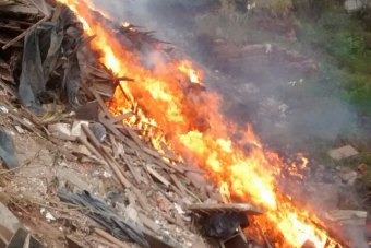 Fiscalização intensificará combate e autuações a queimadas em Três Lagoas