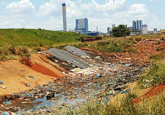 Colaborador denuncia aterro da Fibria: “Sacolas são jogadas no Meio Ambiente”