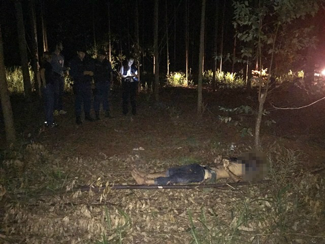 Corpo desovado em plantação de eucalipto é reconhecido pela família
