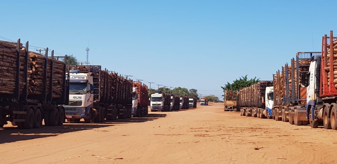 Transporte de eucalipto se normaliza em Três Lagoas