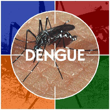 Três Lagoas aparece com média incidência da doença Dengue Três Lagoas aparece com média incidência da doença Dengue