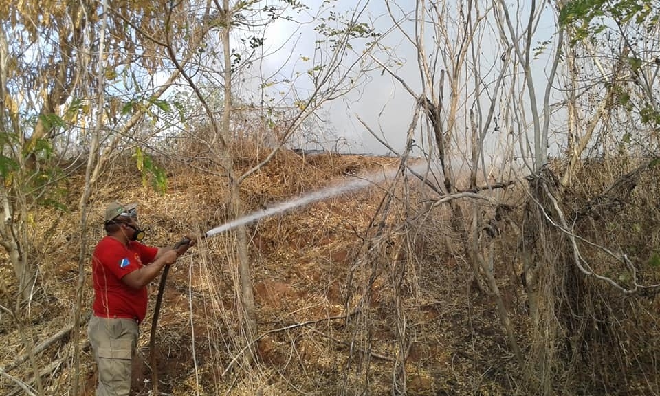 Incêndio acontece em terreno próximo ao aeroporto de Três Lagoas