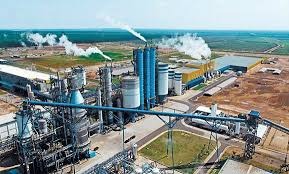 Fibria encerra segundo trimestre com Ebitda e fluxo de caixa recordes e alavancagem atinge 1,58 vezes em dólar, retornando ao pa