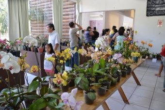 Diretoria Municipal de Cultura realizará exposição e feira de Orquídeas