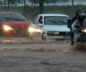 Inmet alerta para temporais com risco de queda de árvore e alagamentos