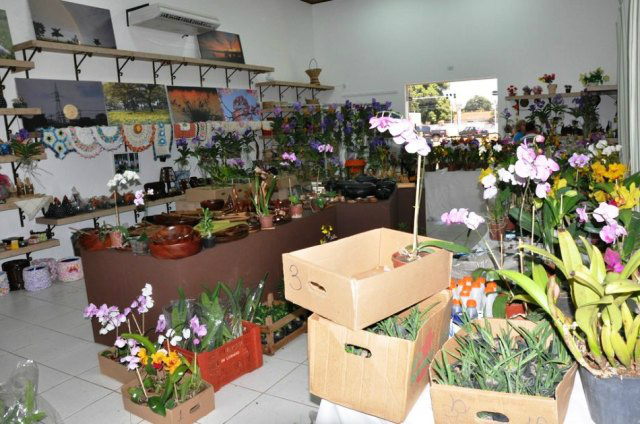 Exposição de Orquídeas vai até sábado na Casa do Artesão Exposição de Orquídeas vai até sábado na Casa do Artesão