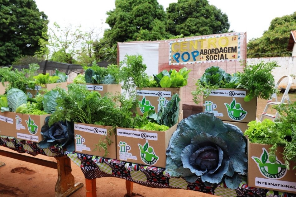 Produção da horta do Centro Pop é distribuída aos SCFVs para consumo