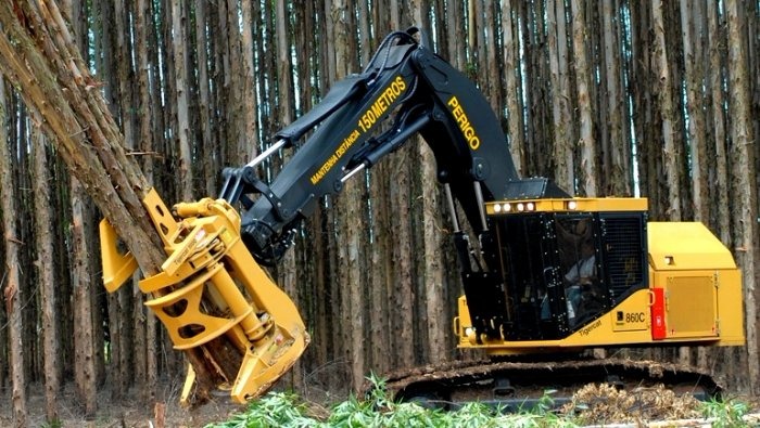 A Emflora estará em Arapuá neste sábado contratando Ajudante Florestal