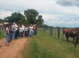 Alunos da Unesp Ilha Solteira visitam fazenda em Três Lagoas 