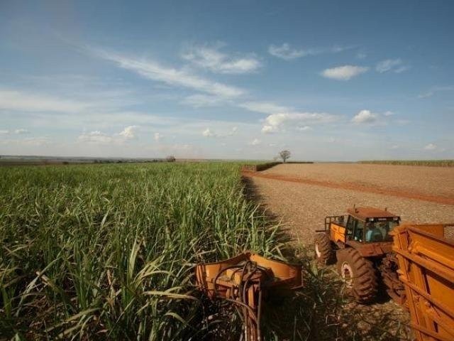 Três Lagoas poderá distribuir ureia boliviana Três Lagoas poderá distribuir ureia boliviana