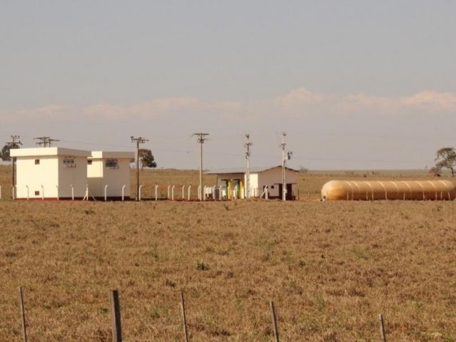 Com investimentos, suinocultura de Brasilândia tem maior rendimento no País