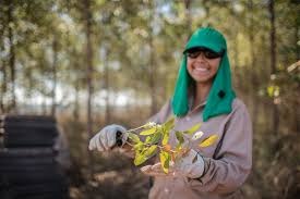 Eldorado abre vagas para líderes florestais em Selviria   