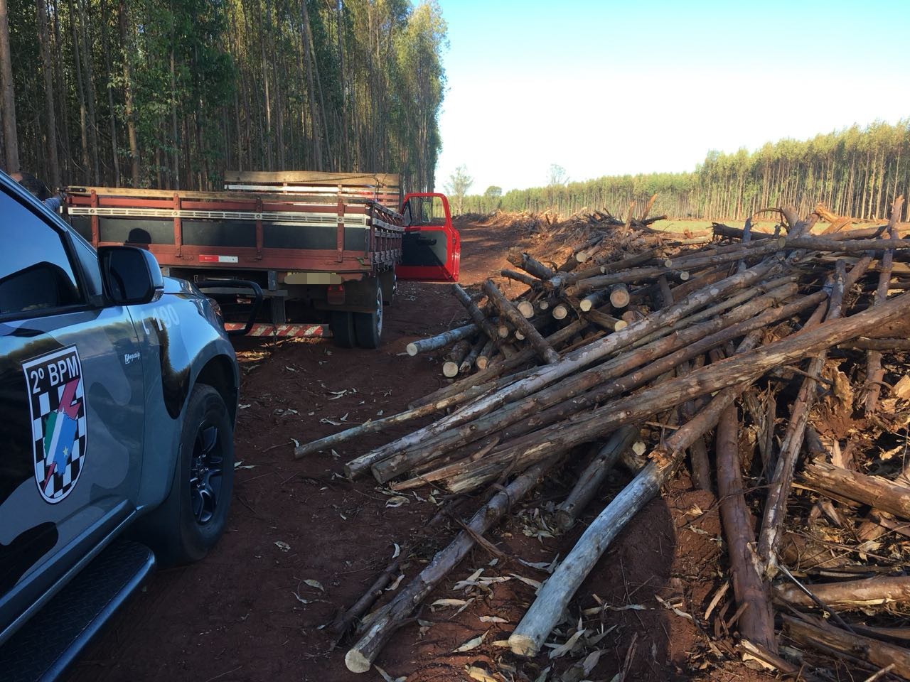Quarteto é flagrado tentando furtar madeiras de fazenda e são presos pela Força Tática de Três Lagoas