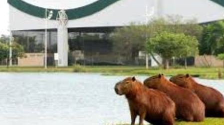 Mínima pode chegar a 19ºC em Três Lagoas neste domingo 