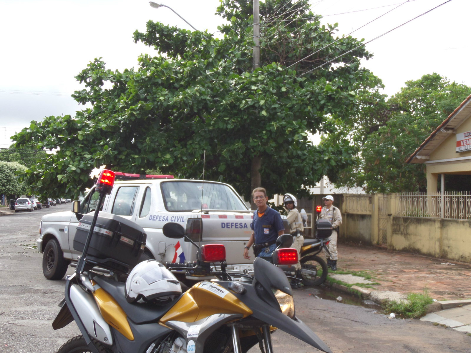 Árvore quebrada mobiliza Defesa Civil, Deptran e Corpo de Bombeiros Árvore quebrada mobiliza Defesa Civil, Deptran e Corpo de Bombeiros