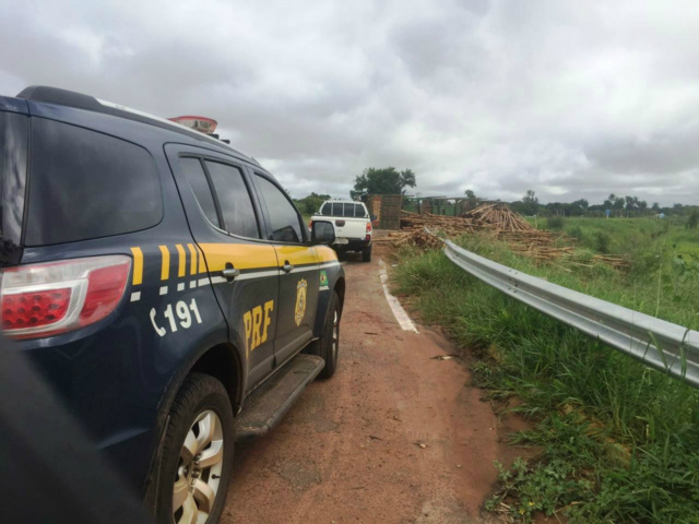 Carreta carregada com eucaliptos tomba em rotatória de Três Lagoas