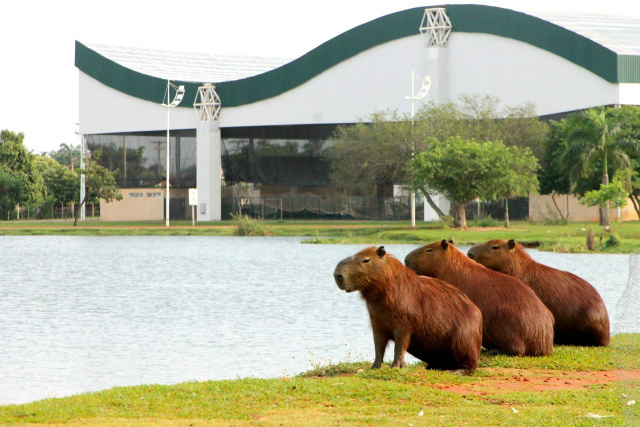 Temperatura se eleva em todo o Estado nesta quinta-feira e máxima atinge 26ºC em Três Lagoas Temperatura se eleva em todo o Estado nesta quinta-feira e máxima atinge 26ºC em Três Lagoas