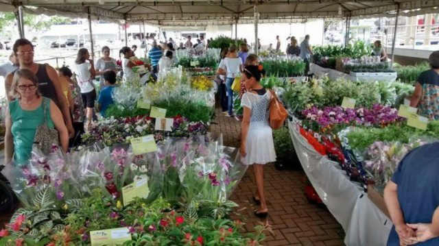 9ª Expo Flor APAE vai até o dia 11 em Três Lagoas 