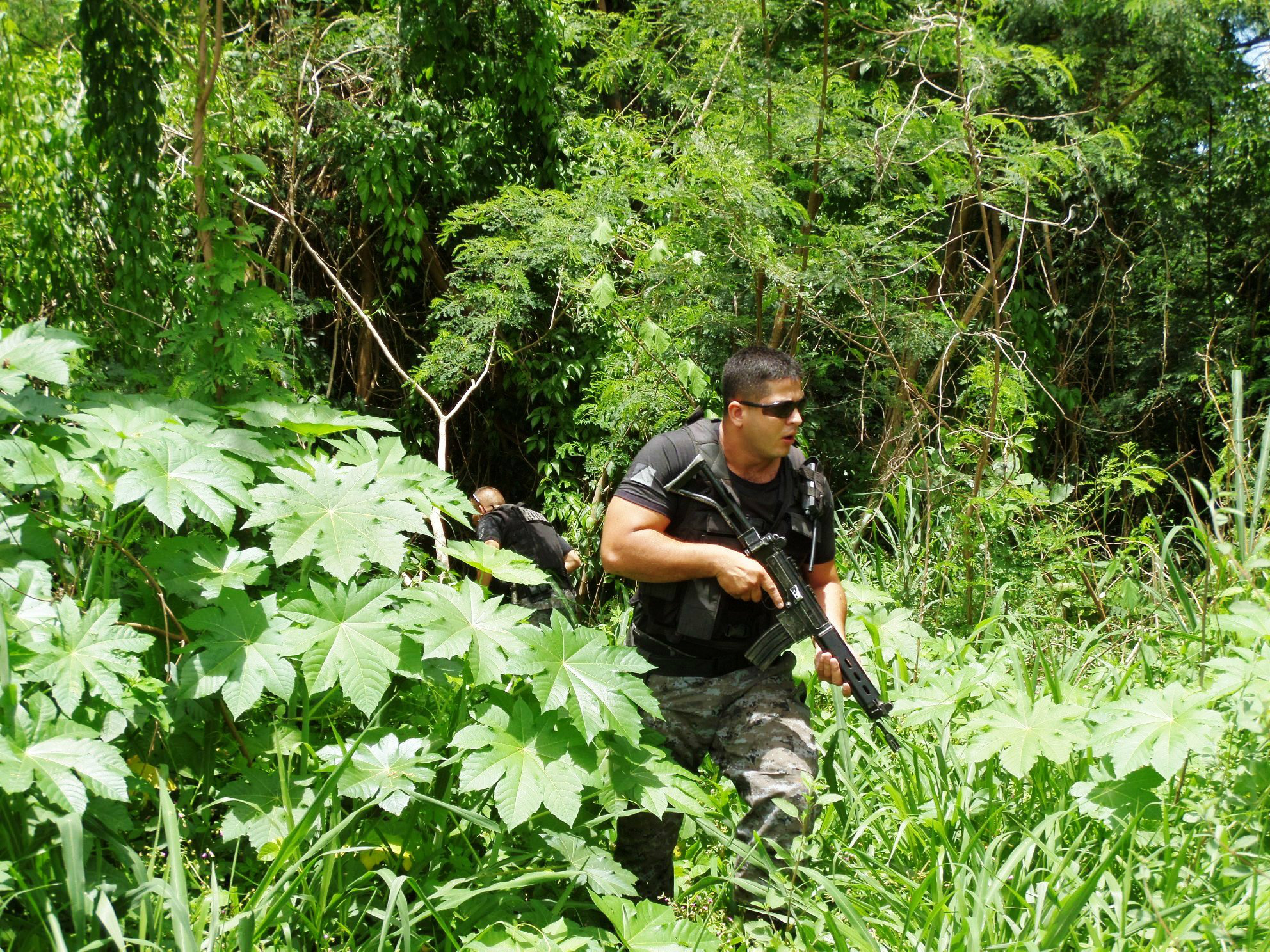 “Caçada Policial” é feita para tentar capturar assaltantes em Três Lagoas “Caçada Policial” é feita para tentar capturar assaltantes em Três Lagoas